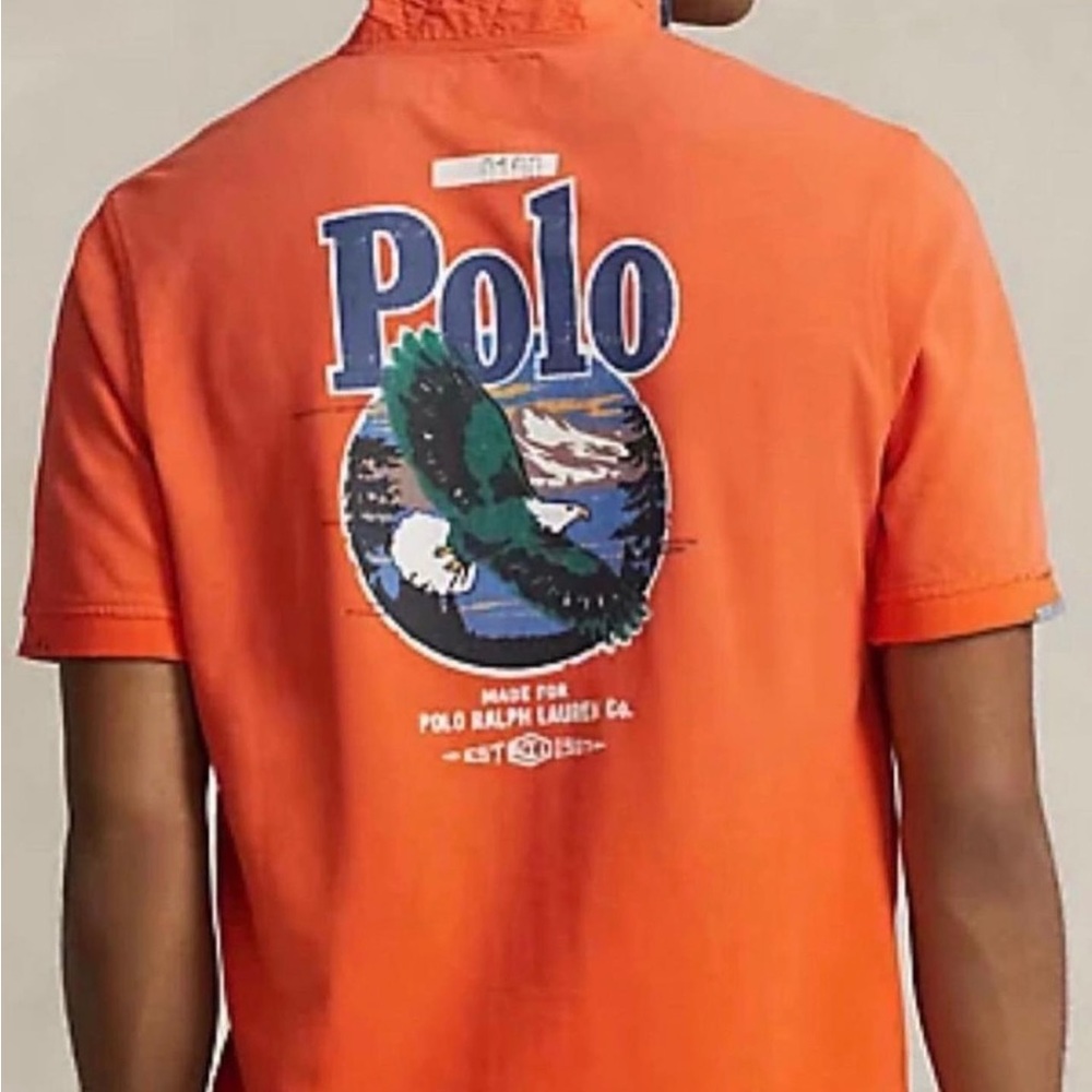 Polo - Picture 2 of 2